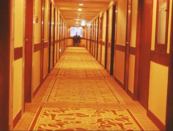 Thảm trải hành lang chuyen nghiệp Thảm trải hành lang