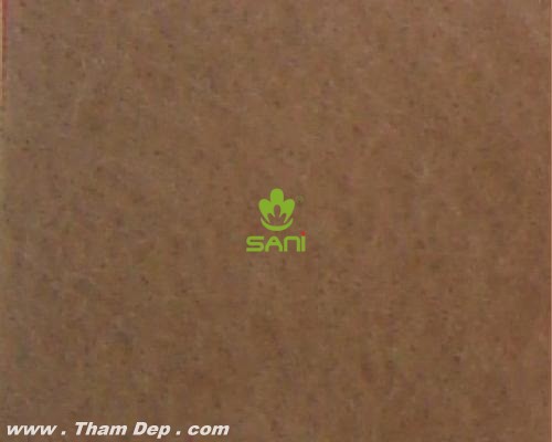 p501sand29