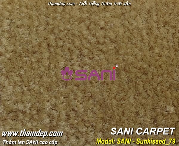 Thảm len SANI cao cấp merit sunkissed-02
