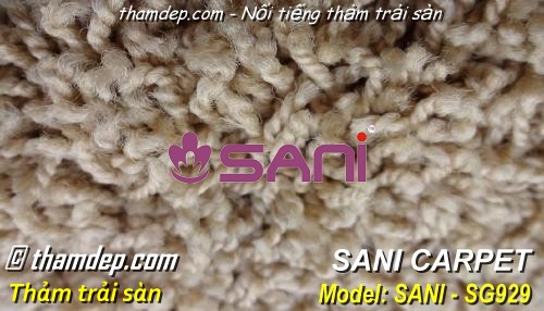 Thảm cao cấp USA runway sg929