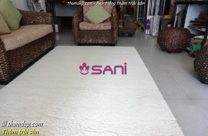 Thảm trang trí cao cấp trangtri 09