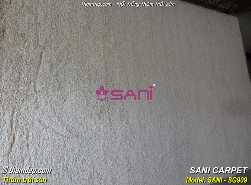 Thảm cao cấp USA trangtri 093