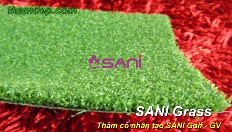 Cỏ nhân tạo SANI Golf - GV co-nhan-tao-sani-sani-gv-2
