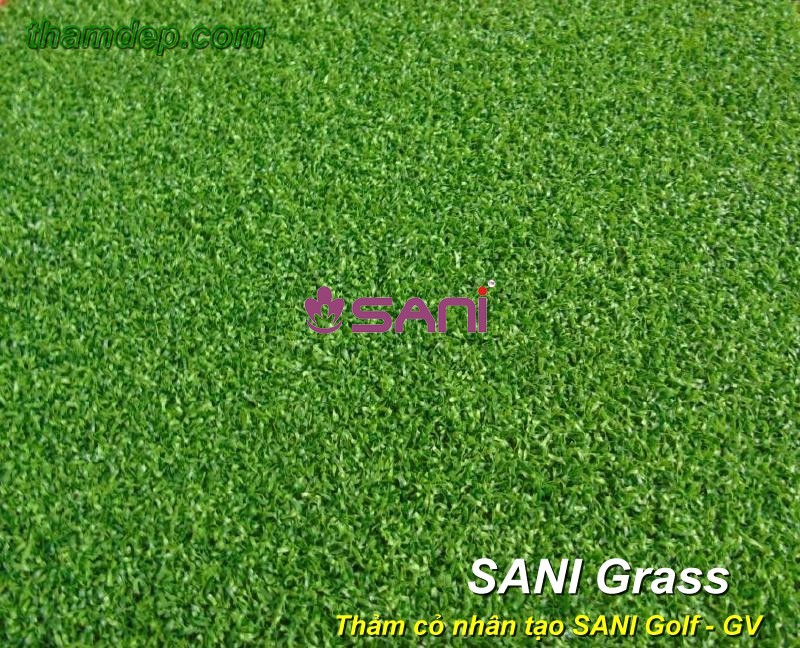 Cỏ nhân tạo SANI Golf - GV co-nhan-tao-sani-sani-gv
