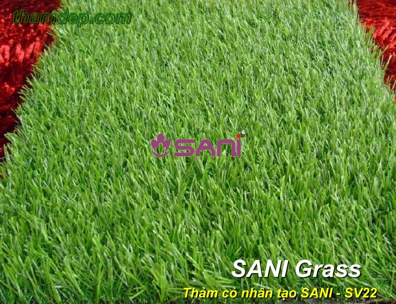 Cỏ nhân tạo SANI - SV22 co-nhan-tao-sani-sani-sv22