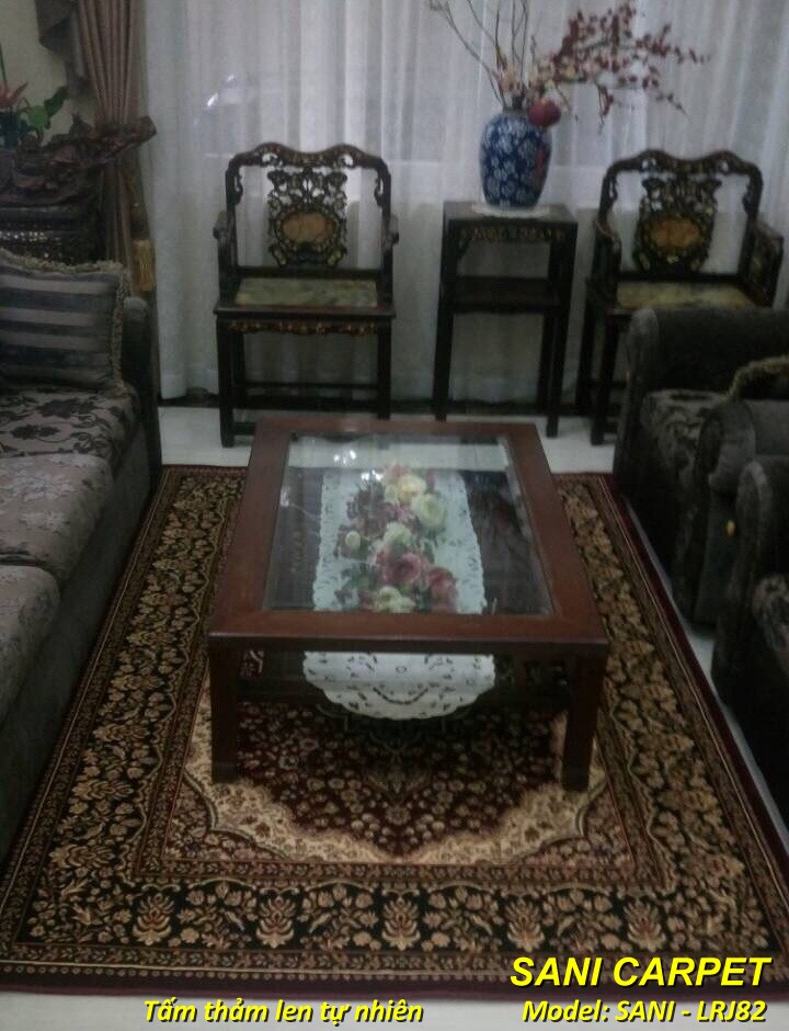 tham-len-tu-nhien-sofa-sani-trang-tri-phong-khach