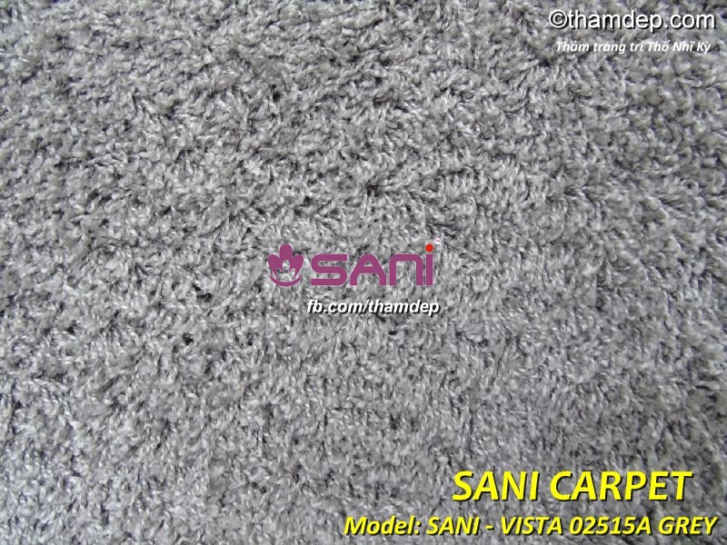 vista-02515a-grey-zoom-tham-thi-nhi-ky