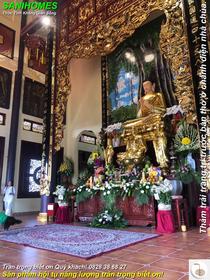 mau tham trai chanh dien nha chua chuyen nghiep 93